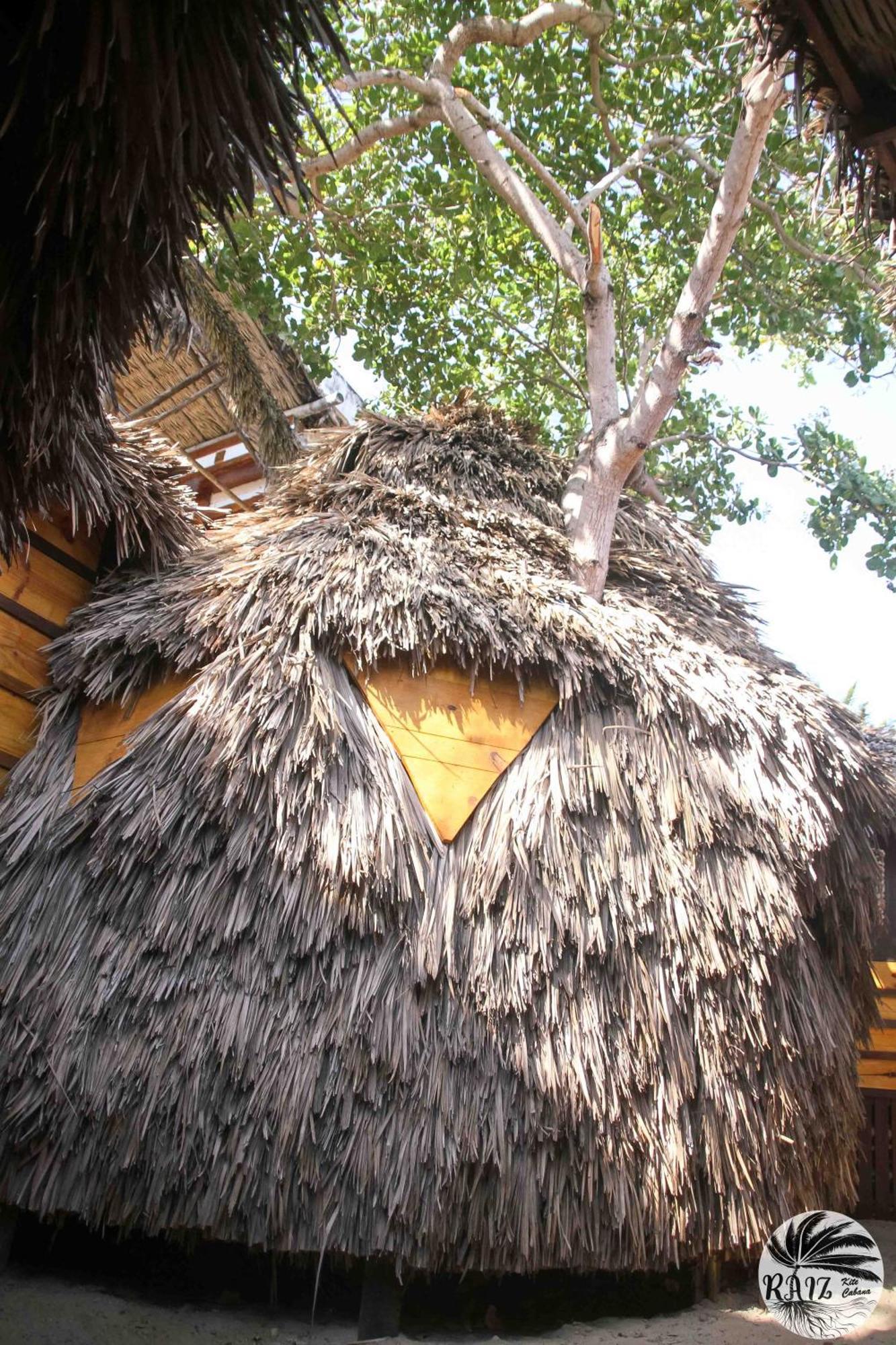 Raiz Kite Cabana Jijoca de Jericoacoara Oda fotoğraf